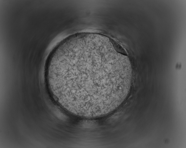 X0000101150296200807181341