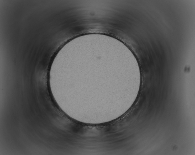 X0000101150297200807181341