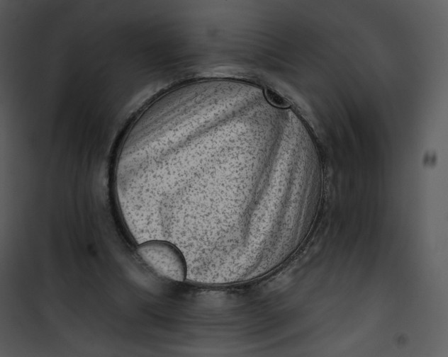 X0000101150298200807181341