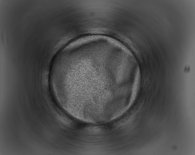 X0000101150299200807181341