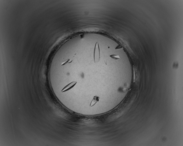 X0000101150300200807181341