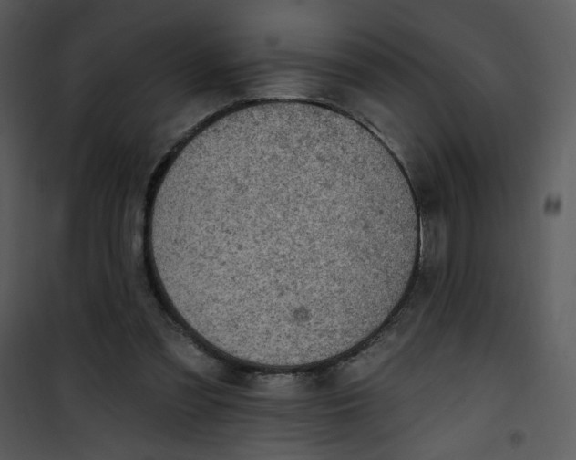 X0000101150301200807181341