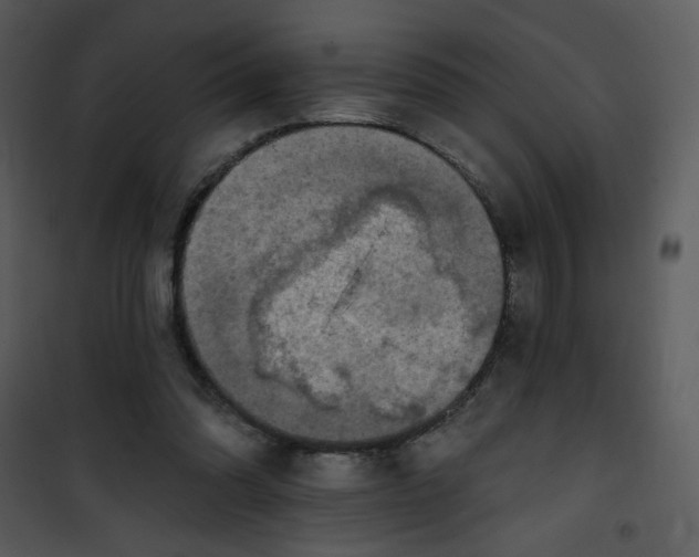 X0000101150302200807181341