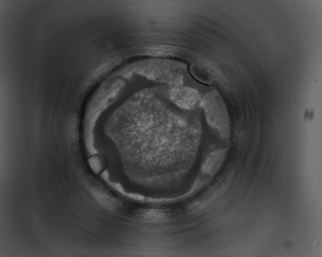 X0000101150303200807181341