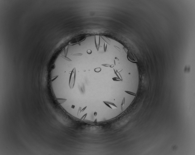 X0000101150304200807181341