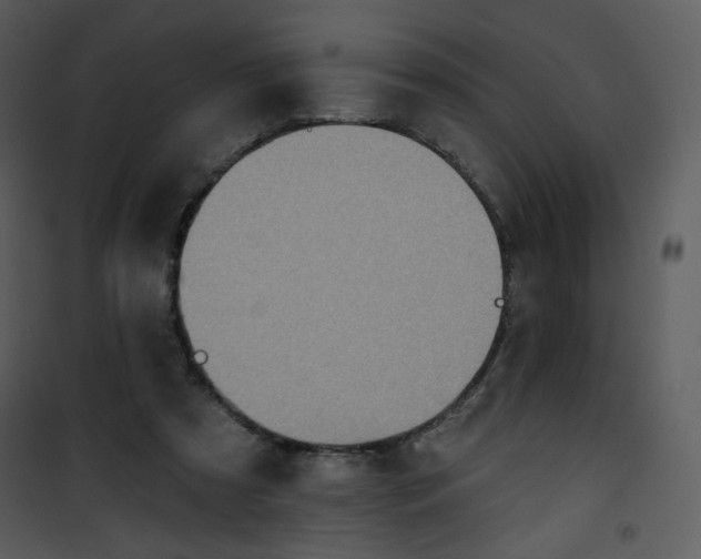 X0000101150305200807181341