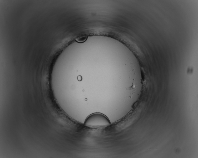 X0000101150306200807181341