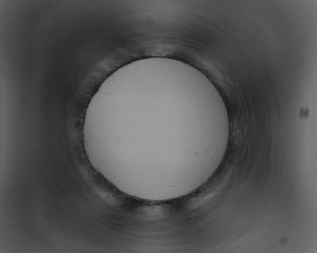 X0000101150307200807181341