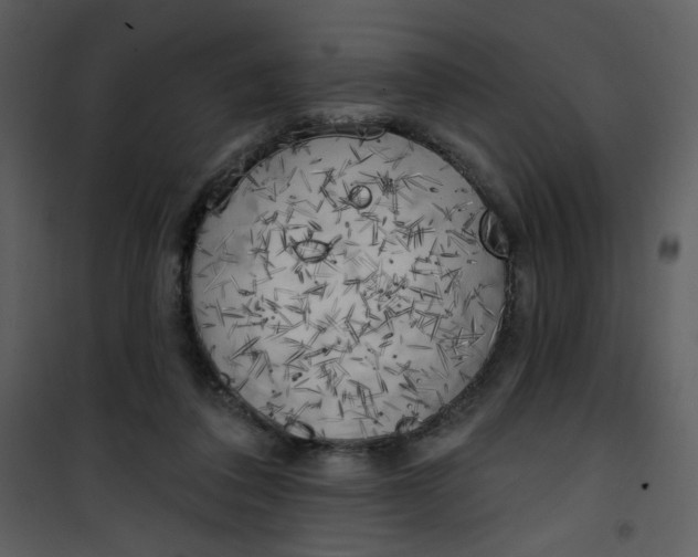 X0000101150308200807181341