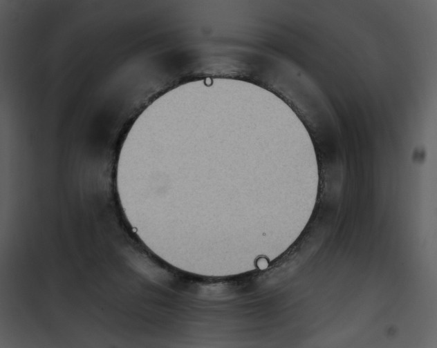 X0000101150309200807181341