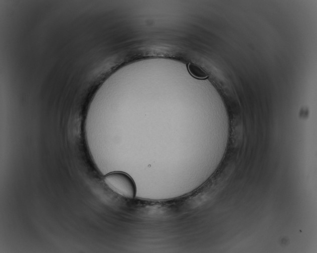 X0000101150310200807181341