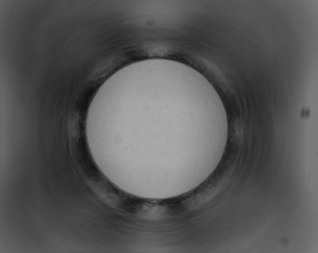 X0000101150311200807181341