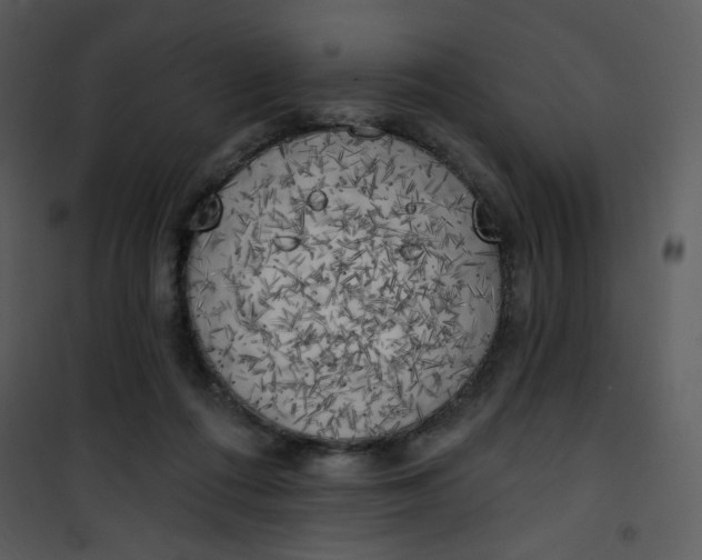 X0000101150312200807181341