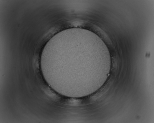 X0000101150313200807181341