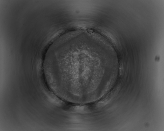 X0000101150314200807181341