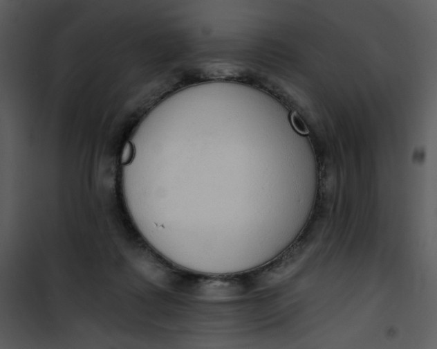 X0000101150315200807181341