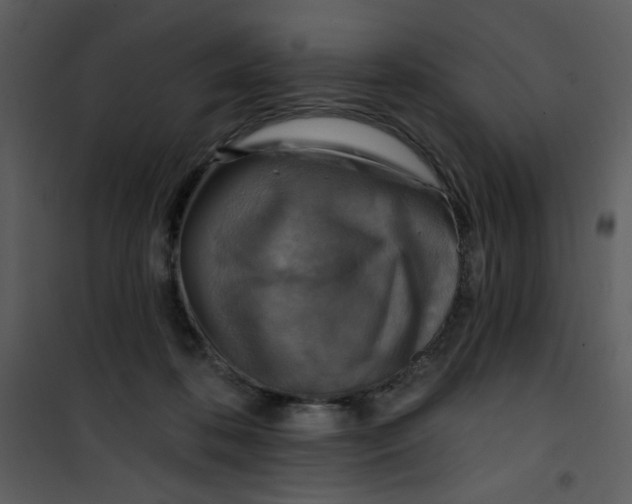 X0000101150316200807181341