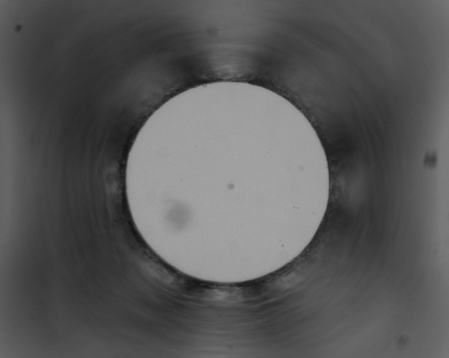 X0000101150317200807181341