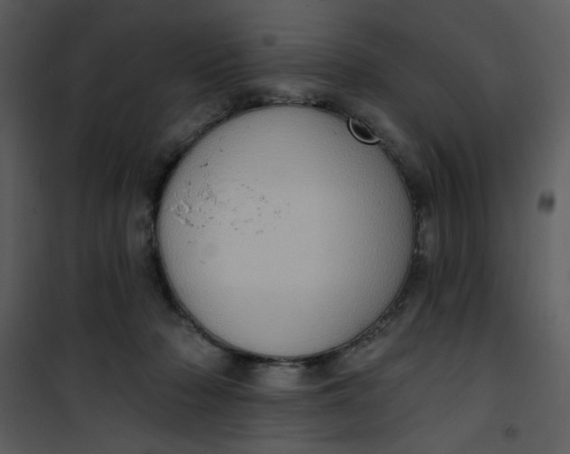 X0000101150318200807181341