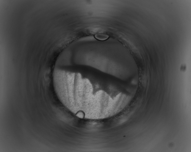 X0000101150319200807181341