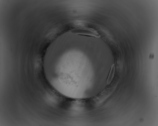 X0000101150320200807181341