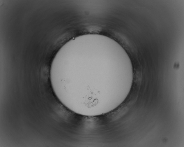 X0000101150321200807181341