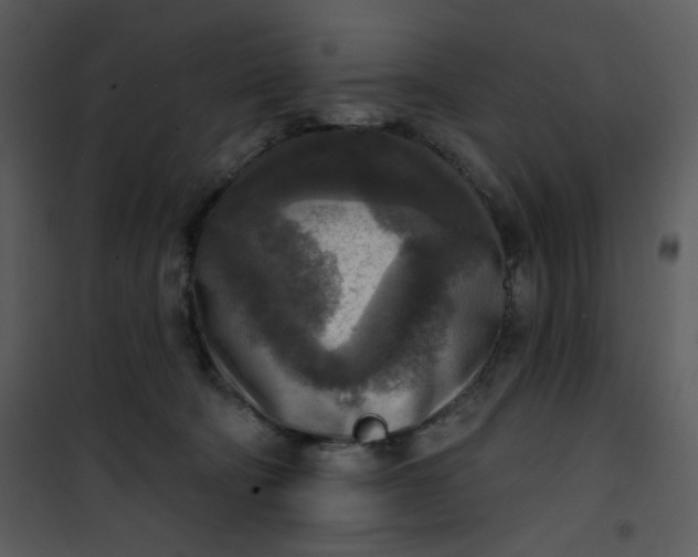 X0000101150322200807181341