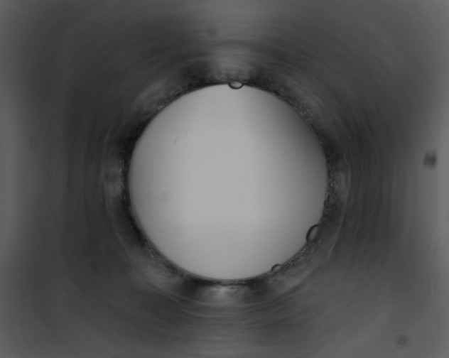 X0000101150323200807181341