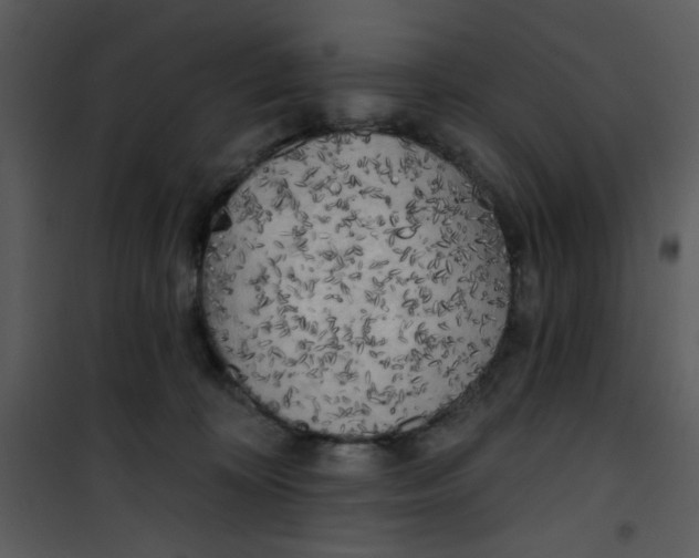 X0000101150324200807181341