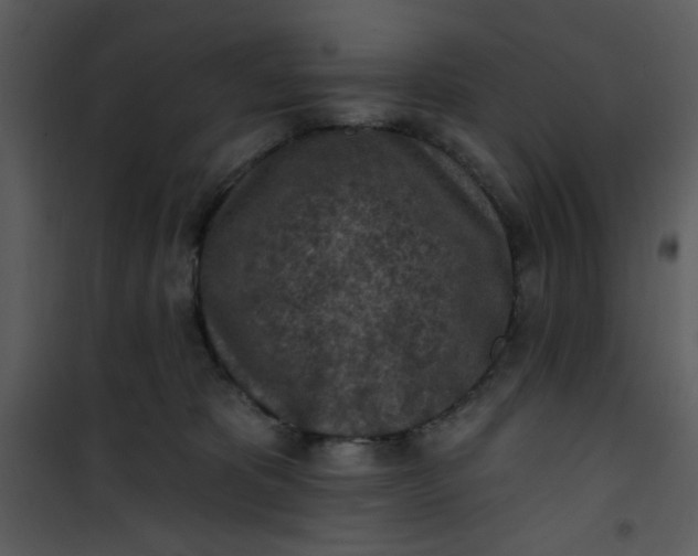 X0000101150325200807181341