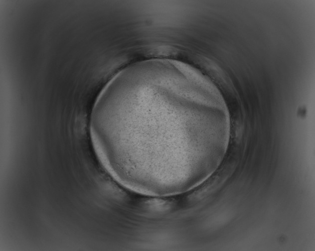 X0000101150326200807181341