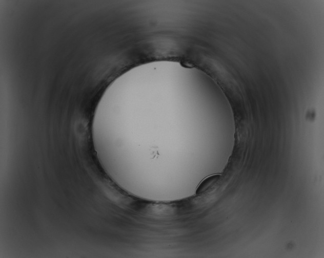 X0000101150327200807181341