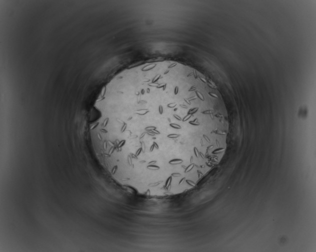 X0000101150328200807181341