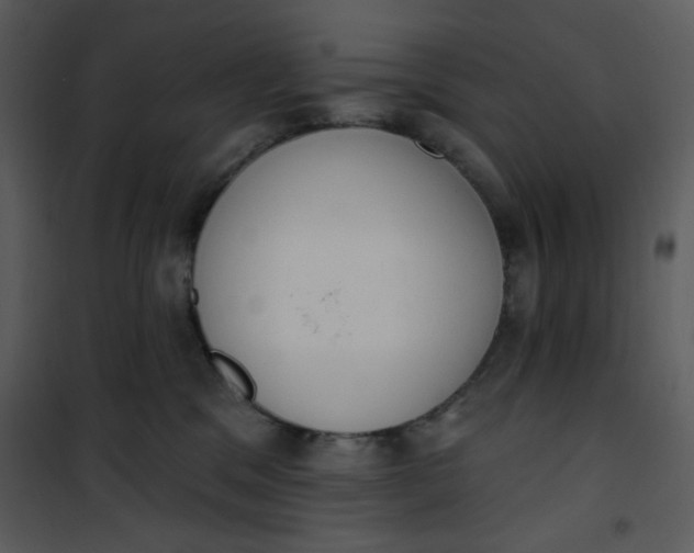 X0000101150329200807181341