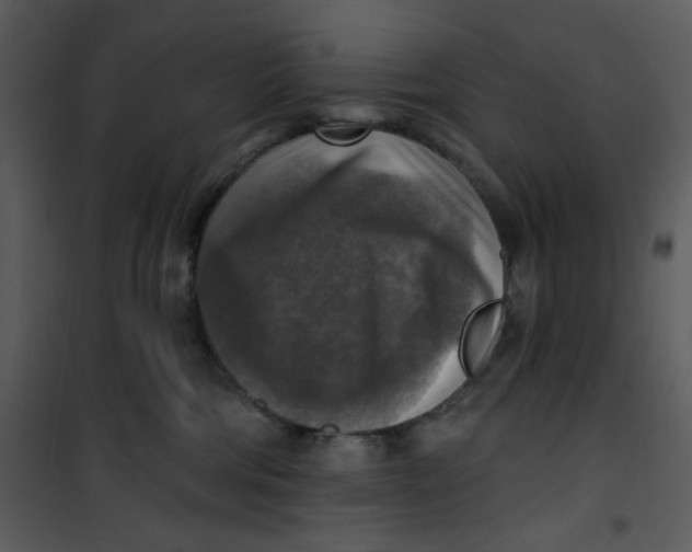 X0000101150330200807181341