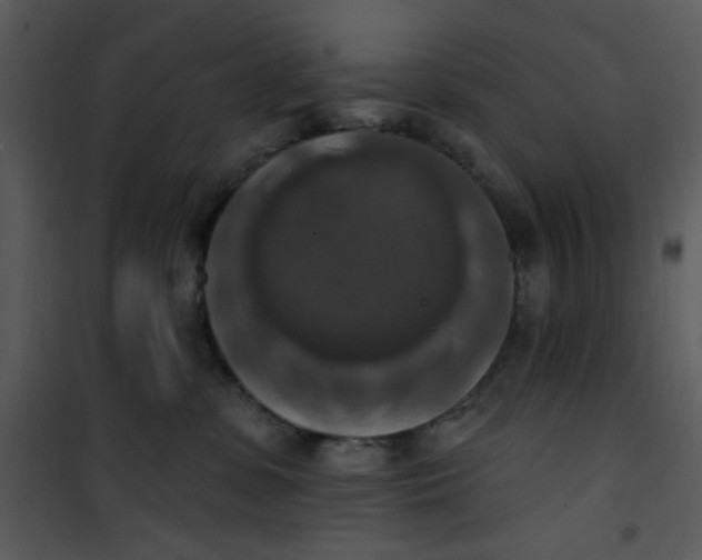 X0000101150331200807181341