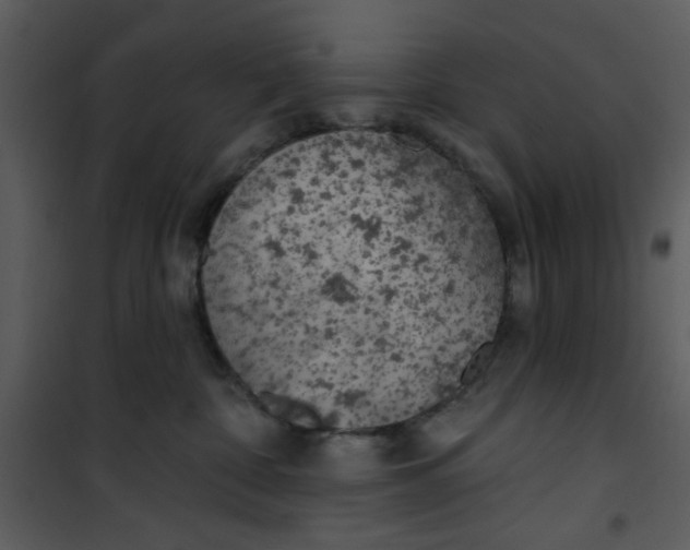 X0000101150332200807181341