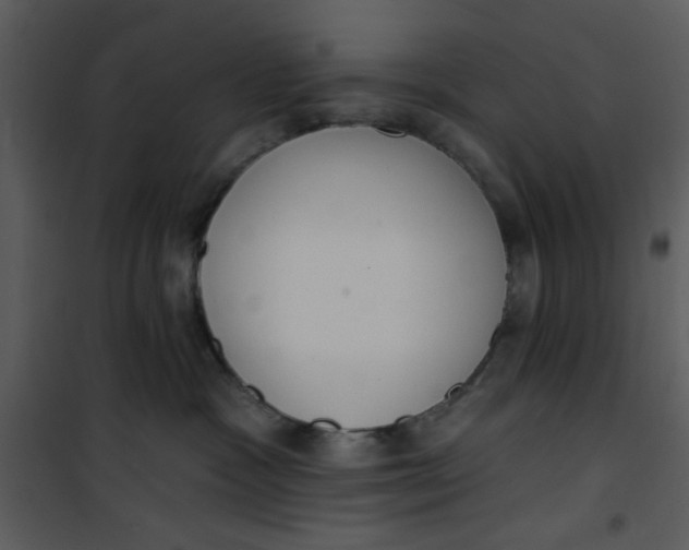 X0000101150333200807181341