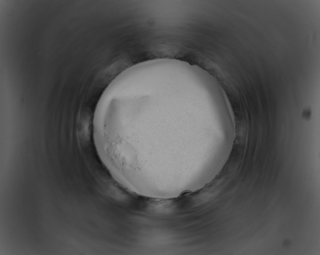 X0000101150334200807181341