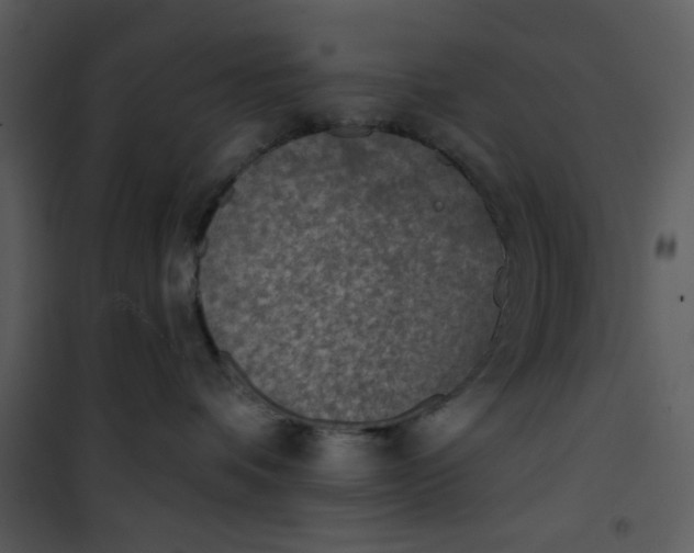 X0000101150336200807181341