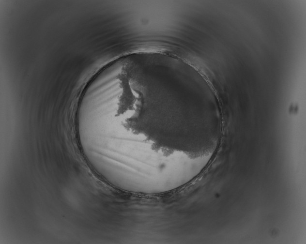 X0000101150337200807181340