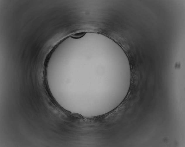 X0000101150338200807181340