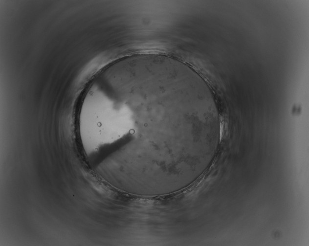 X0000101150339200807181340