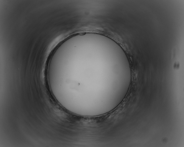 X0000101150340200807181340