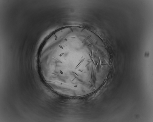 X0000101150342200807181340