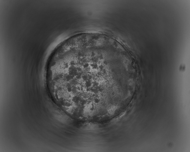 X0000101150343200807181340