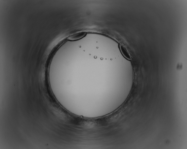 X0000101150344200807181340