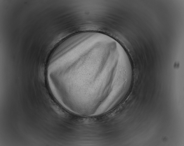 X0000101150345200807181340