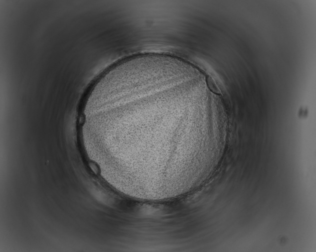 X0000101150346200807181340