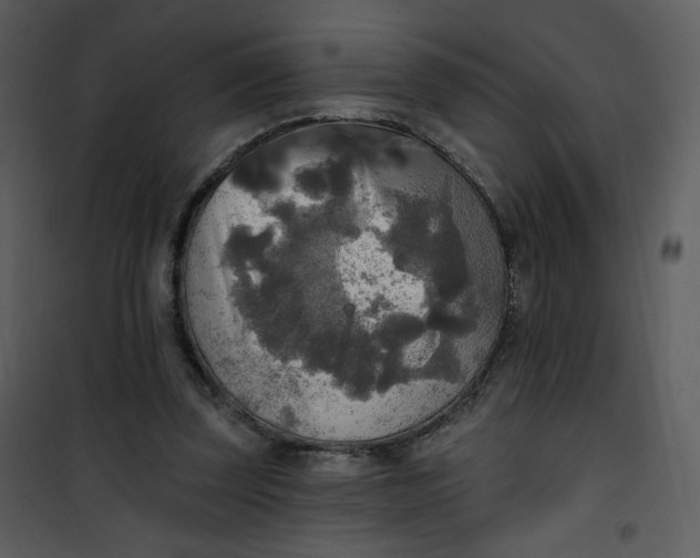 X0000101150347200807181340